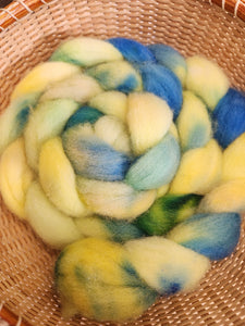 Dorset Horn Wool Spinning Fiber -  Sunny Picnic