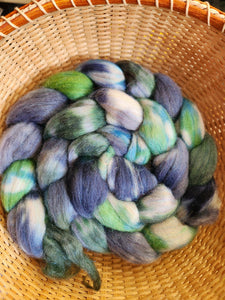4 oz  Merino/Firestar Spinning Fiber - College Move-In