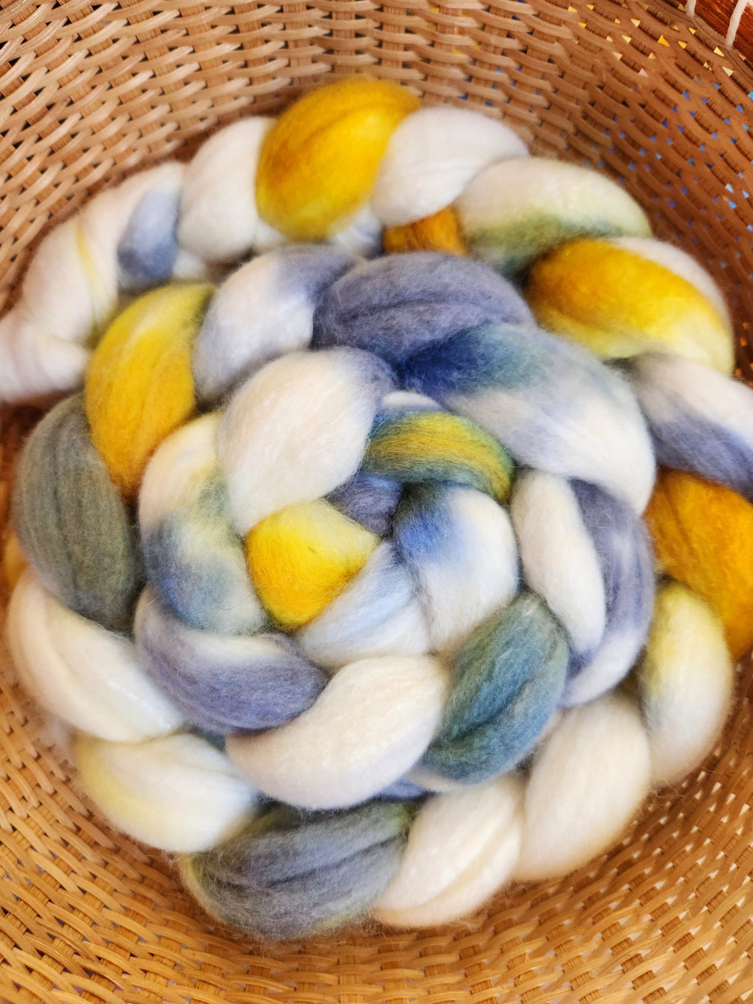 Polwarth/silk 75/25 Spinning Fiber - Mighty Mac -T