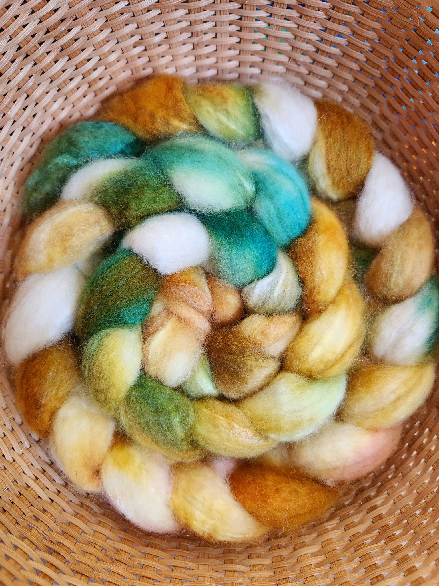 BFL/Silk 70/30% Spinning Fiber -  College Move-In - J