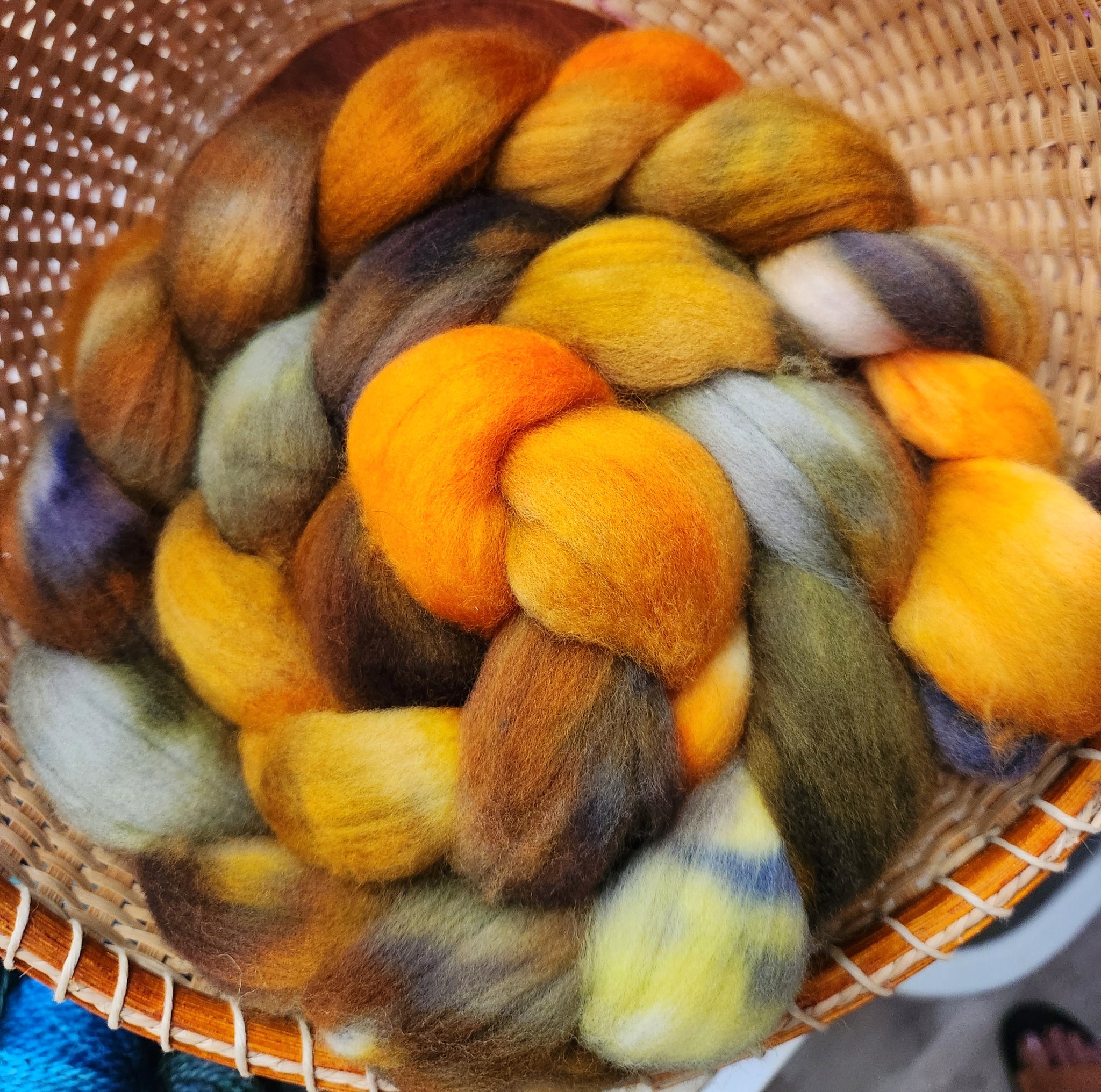 Targhee Spinning Fiber/Wool Top for Spinning - Hayride Hangover