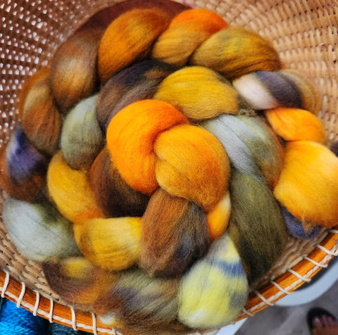 Targhee Spinning Fiber/Wool Top for Spinning - Hayride Hangover