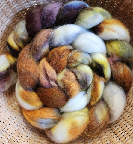 4 oz  BFL Spinning Fiber -  Frosted Mocha Morning