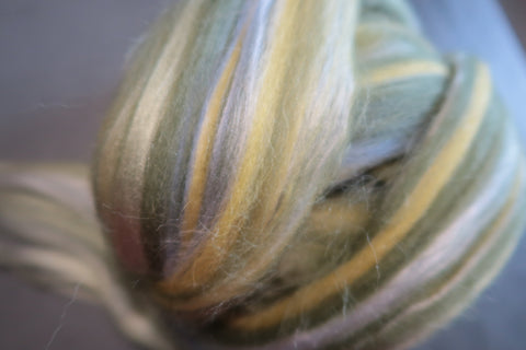 Spring is Here Blended Top-Shetland and Bamboo top for spinning or felting